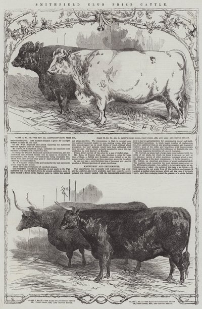 Smithfield Club Prize Cattle by Harrison William Weir